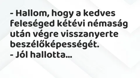 Vicc: – Hallom, hogy a kedves feleséged kétévi némaság után végre…