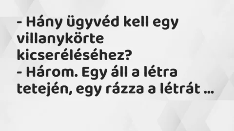 Vicc: – Hány ügyvéd kell egy villanykörte kicseréléséhez?

– Három. Egy…