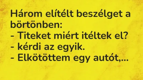 Vicc: Három elítélt beszélget a börtönben:

– Titeket miért itéltek el?…