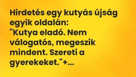 Vicc: Hirdetés egy kutyás újság egyik oldalán:
“Kutya eladó. Nem… Vicc: Hirdetés egy kutyás újság egyik oldalán:
“Kutya eladó. Nem…