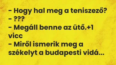 Vicc: – Hogy hal meg a teniszező?

– ???

– Megáll benne az ütő.
