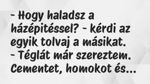 Vicc: – Hogy haladsz a házépitéssel? – kérdi az egyik tolvaj a…