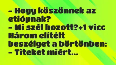 Vicc: – Hogy köszönnek az etiópnak?

– Mi szél hozott?