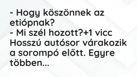 Vicc: – Hogy köszönnek az etiópnak?

– Mi szél hozott?