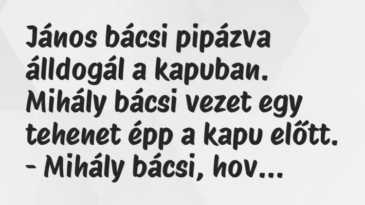 Vicc: János bácsi pipázva álldogál a kapuban. Mihály bácsi vezet egy tehenet… Vicc: János bácsi pipázva álldogál a kapuban. Mihály bácsi vezet egy tehenet…