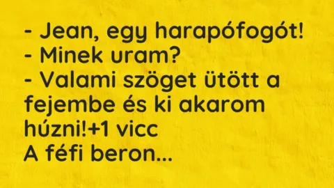 Vicc: – Jean, egy harapófogót!
– Minek uram?
– Valami szöget ütött… Vicc: – Jean, egy harapófogót!
– Minek uram?
– Valami szöget ütött…