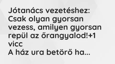 Vicc: Jótanács vezetéshez:

Csak olyan gyorsan vezess, amilyen gyorsan…