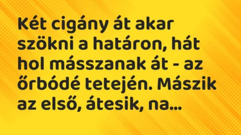 Vicc: Két cigány át akar szökni a határon, hát hol másszanak át – az őrbódé…