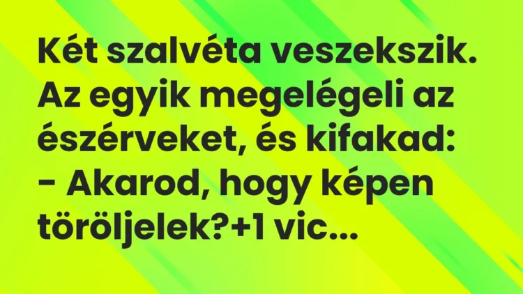 Vicc: Két szalvéta veszekszik. Az egyik megelégeli az észérveket, és… Vicc: Két szalvéta veszekszik. Az egyik megelégeli az észérveket, és…