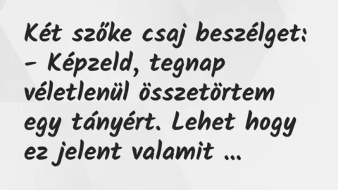 Vicc: Két szőke csaj beszélget:

– Képzeld, tegnap véletlenül…
