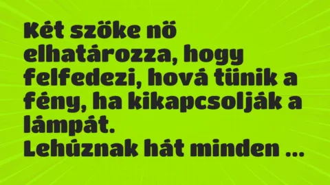 Vicc: Két szőke nő elhatározza, hogy felfedezi, hová tűnik a fény, ha…