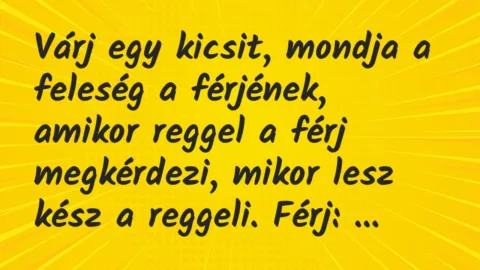 Vicc: “Ki tudja, miért fontos a szavazás?” Erre az egyik kisfiú felpattant…
