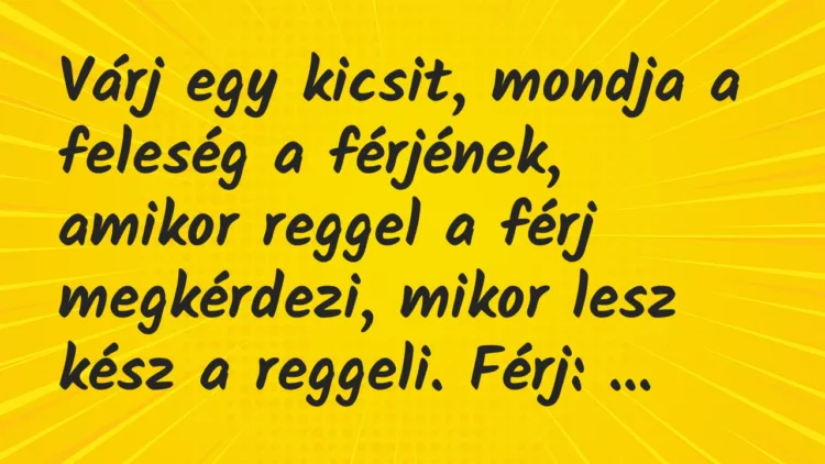 Vicc: “Ki tudja, miért fontos a szavazás?” Erre az egyik kisfiú felpattant… Vicc: “Ki tudja, miért fontos a szavazás?” Erre az egyik kisfiú felpattant…