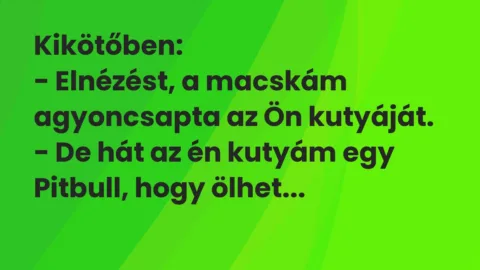 Vicc: Kikötőben:
– Elnézést, a macskám agyoncsapta az Ön… Vicc: Kikötőben:
– Elnézést, a macskám agyoncsapta az Ön…