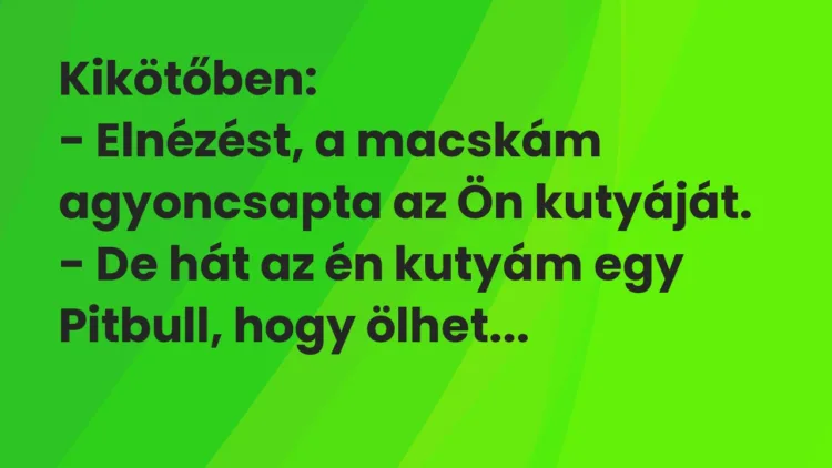 Vicc: Kikötőben:
– Elnézést, a macskám agyoncsapta az Ön… Vicc: Kikötőben:
– Elnézést, a macskám agyoncsapta az Ön…
