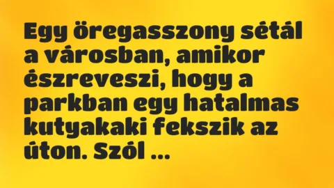 Vicc: Kisfiam, nem látod, hogy ez itt egy kutyakaki?