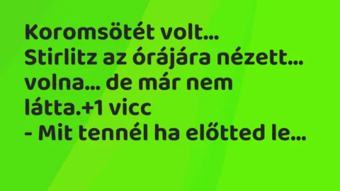Vicc: Koromsötét volt…

Stirlitz az órájára nézett… volna… de már…
