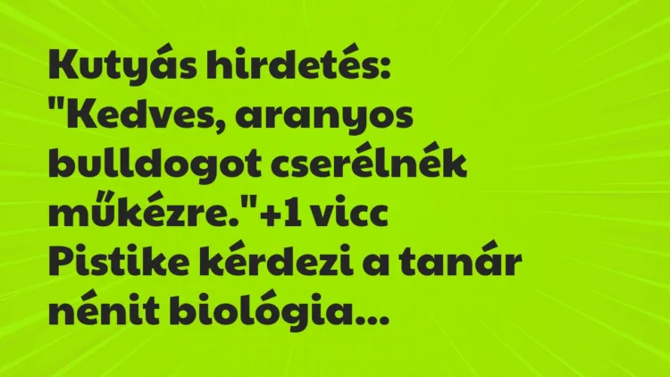 Vicc: Kutyás hirdetés:
“Kedves, aranyos bulldogot cserélnék műkézre.” Vicc: Kutyás hirdetés:
“Kedves, aranyos bulldogot cserélnék műkézre.”