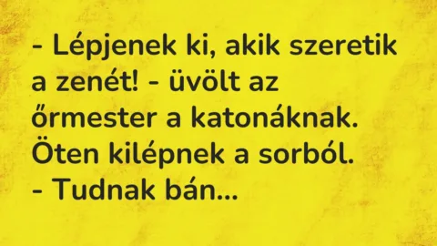 Vicc: – Lépjenek ki, akik szeretik a zenét! – üvölt az őrmester a…