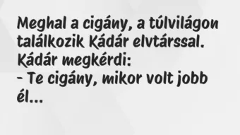 Vicc: Meghal a cigány, a túlvilágon találkozik Kádár elvtárssal.

Kádár…