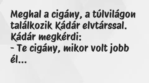 Vicc: Meghal a cigány, a túlvilágon találkozik Kádár elvtárssal.
Kádár… Vicc: Meghal a cigány, a túlvilágon találkozik Kádár elvtárssal.
Kádár…