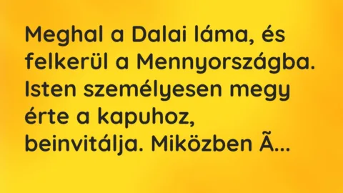 Vicc: Meghal a Dalai láma, és felkerül a Mennyországba. Isten személyesen…
