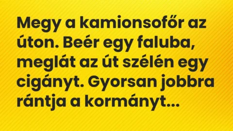 Vicc: Megy a kamionsofőr az úton. Beér egy faluba, meglát az út szélén egy…