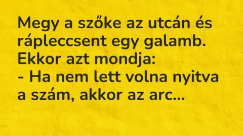 Vicc: Megy a szőke az utcán és rápleccsent egy galamb. Ekkor azt…