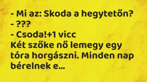 Vicc: – Mi az: Skoda a hegytetőn?

– ???

– Csoda!