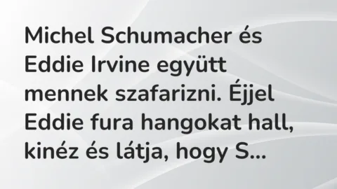 Vicc: Michel Schumacher és Eddie Irvine együtt mennek szafarizni. Éjjel… Vicc: Michel Schumacher és Eddie Irvine együtt mennek szafarizni. Éjjel…