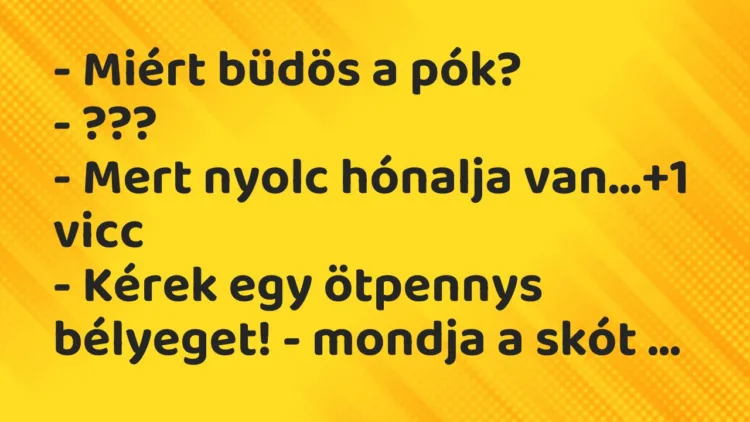 Vicc: – Miért büdös a pók?
– ???
– Mert nyolc hónalja van… Vicc: – Miért büdös a pók?
– ???
– Mert nyolc hónalja van…
