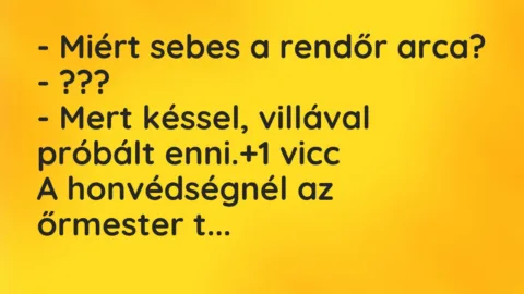 Vicc: – Miért sebes a rendőr arca?

– ???

– Mert késsel, villával…