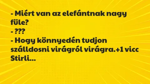 Vicc: – Miért van az elefántnak nagy füle?

– ???

– Hogy könnyedén…