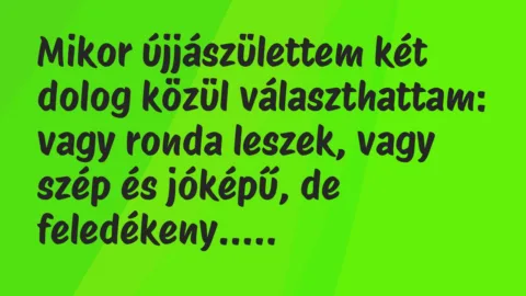 Vicc: Mikor újjászülettem két dolog közül választhattam:

vagy ronda…
