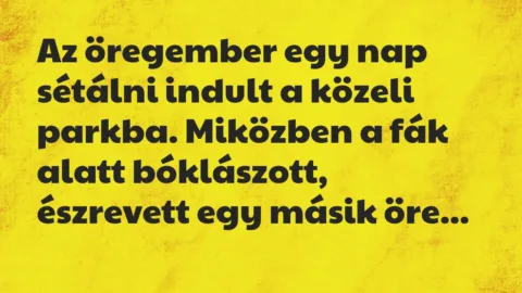 Vicc: Milyen szép időnk van, nem igaz?