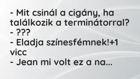 Vicc: – Mit csinál a cigány, ha találkozik a terminátorral?
-… Vicc: – Mit csinál a cigány, ha találkozik a terminátorral?
-…