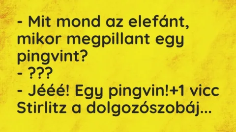 Vicc: – Mit mond az elefánt, mikor megpillant egy pingvint?
-… Vicc: – Mit mond az elefánt, mikor megpillant egy pingvint?
-…