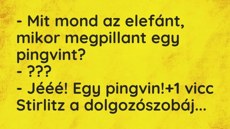 Vicc: – Mit mond az elefánt, mikor megpillant egy pingvint?
-… Vicc: – Mit mond az elefánt, mikor megpillant egy pingvint?
-…