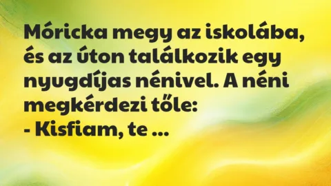 Vicc: Móricka megy az iskolába, és az úton találkozik egy nyugdíjas nénivel… Vicc: Móricka megy az iskolába, és az úton találkozik egy nyugdíjas nénivel…