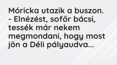 Vicc: Móricka utazik a buszon.

– Elnézést, sofőr bácsi, tessék már…