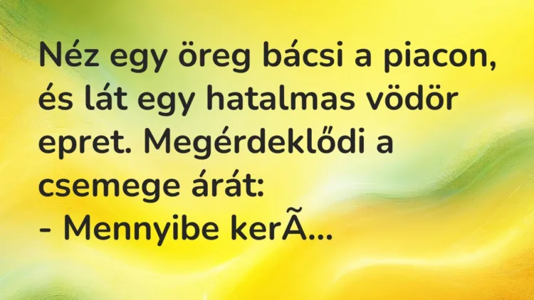 Vicc: Néz egy öreg bácsi a piacon, és lát egy hatalmas vödör epret… Vicc: Néz egy öreg bácsi a piacon, és lát egy hatalmas vödör epret…