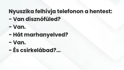 Vicc: Nyuszika felhívja telefonon a hentest:
– Van disznófüled?
-… Vicc: Nyuszika felhívja telefonon a hentest:
– Van disznófüled?
-…