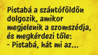 Vicc: Pistabá a szántóföldön dolgozik, amikor megjelenik a szomszédja, és megkérdezi tőle: … Vicc: Pistabá a szántóföldön dolgozik, amikor megjelenik a szomszédja, és megkérdezi tőle: …