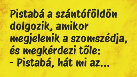 Vicc: Pistabá a szántóföldön dolgozik, amikor megjelenik a szomszédja, és megkérdezi tőle: … Vicc: Pistabá a szántóföldön dolgozik, amikor megjelenik a szomszédja, és megkérdezi tőle: …