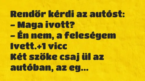 Vicc: Rendőr kérdi az autóst:

– Maga ivott?

– Én nem, a feleségem…