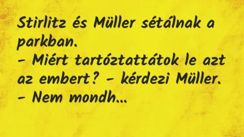 Vicc: Stirlitz és Müller sétálnak a parkban.

– Miért tartóztattátok le…