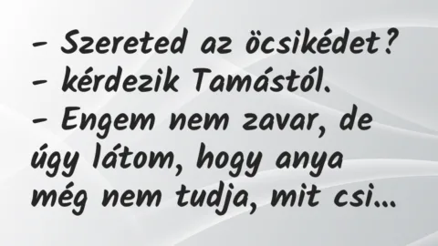 Vicc: – Szereted az öcsikédet? – kérdezik Tamástól.

– Engem nem zavar,…