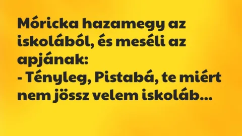 Vicc: Tényleg, Pistabá, te miért nem jössz velem iskolába? Vicc: Tényleg, Pistabá, te miért nem jössz velem iskolába?