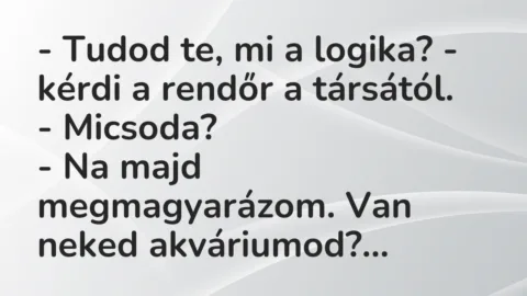 Vicc: – Tudod te, mi a logika? – kérdi a rendőr a társától.

-…