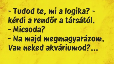Vicc: – Tudod te, mi a logika? – kérdi a rendőr a társától.
-… Vicc: – Tudod te, mi a logika? – kérdi a rendőr a társától.
-…